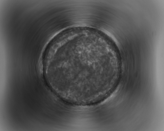 X0000094230925200711161906