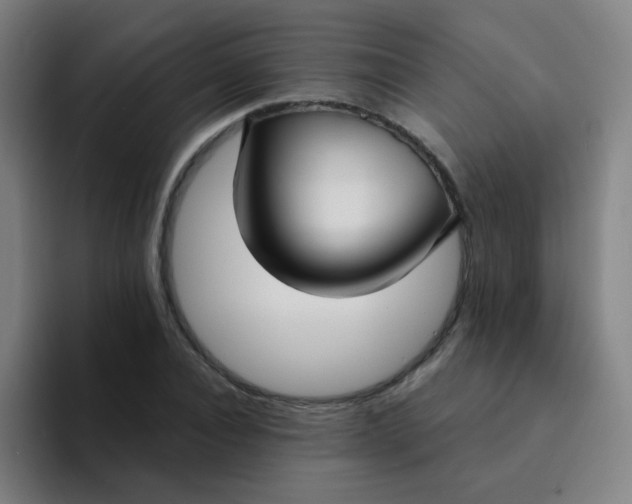 X0000094230928200711161906