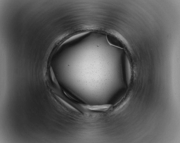 X0000094230930200711161906