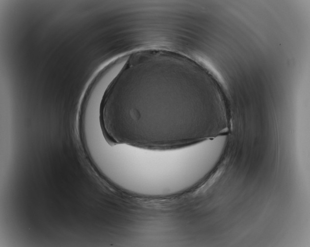 X0000094230932200711161906