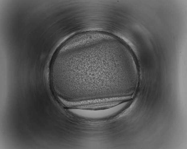 X0000094230933200711161906