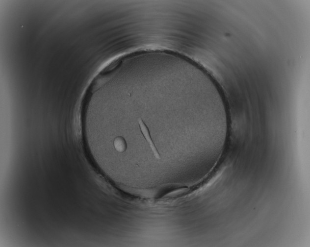 X0000094230934200711161906