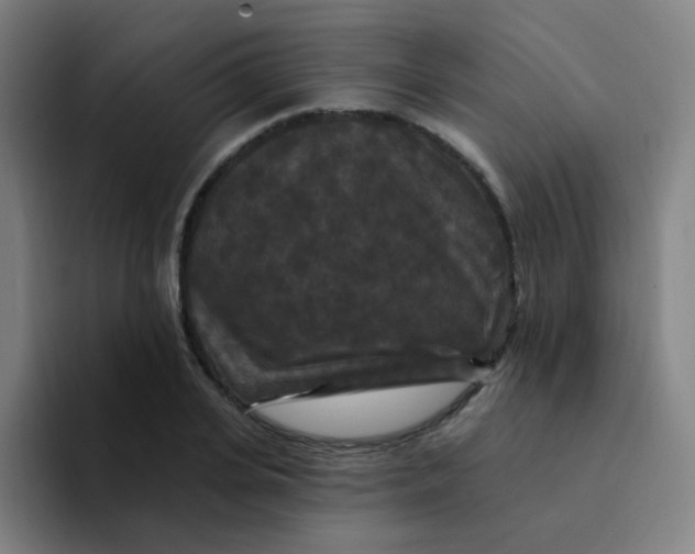 X0000094230935200711161906