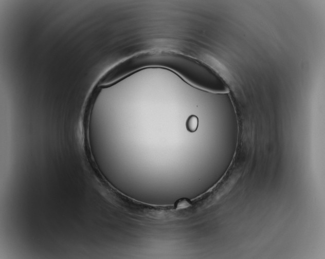 X0000094230936200711161906