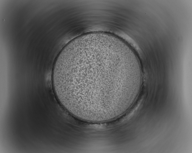 X0000094230937200711161906