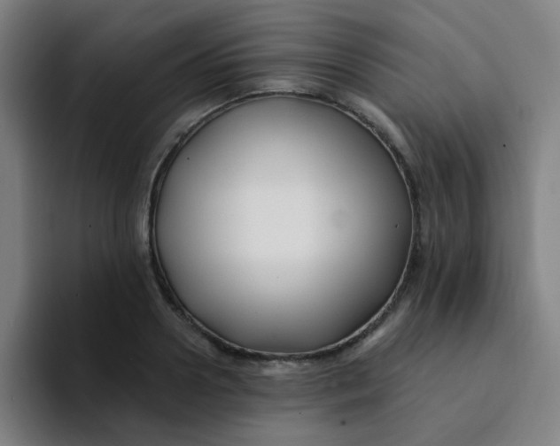 X0000094230938200711161906