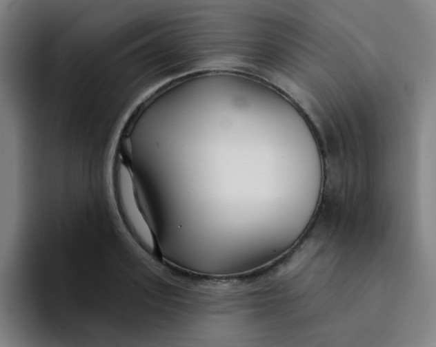 X0000094230939200711161906