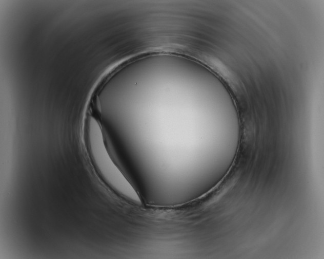 X0000094230940200711161906