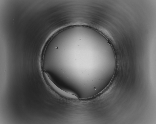 X0000094230942200711161906