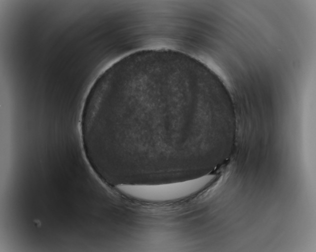 X0000094230943200711161906