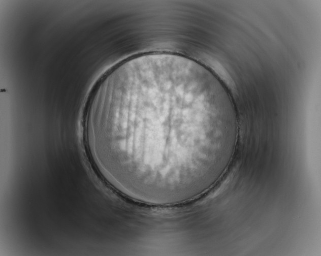 X0000094230944200711161906