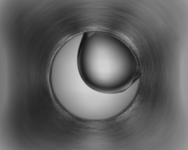 X0000094230946200711161906