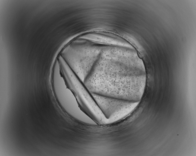 X0000094230948200711161906