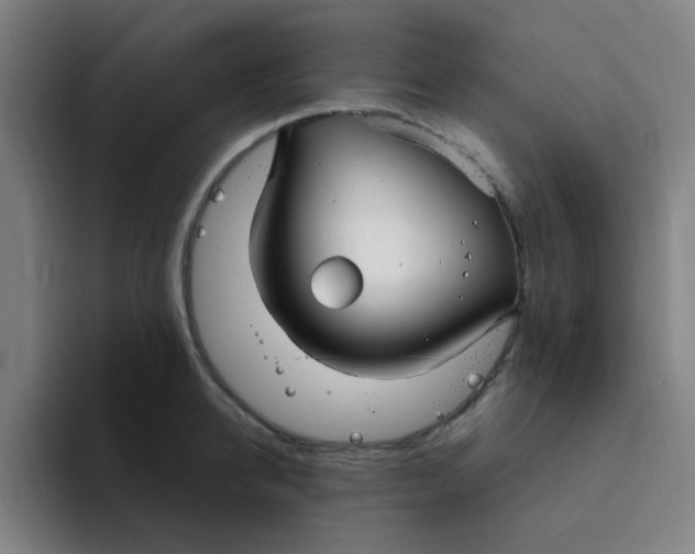 X0000094230950200711161906