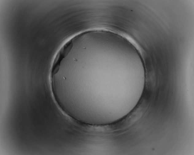 X0000094230951200711161906