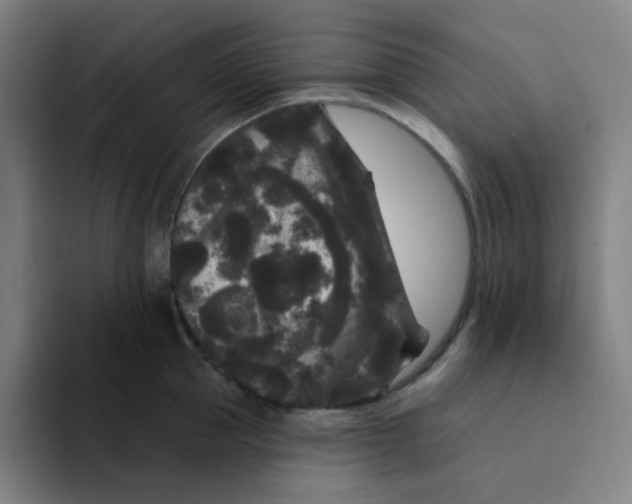 X0000094230953200711161906