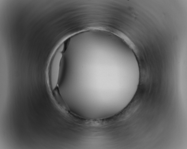 X0000094230955200711161907