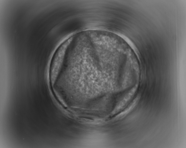 X0000094230957200711161907