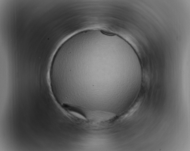 X0000094230959200711161907