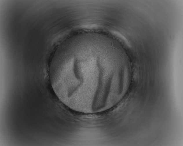 X0000094230966200711161906