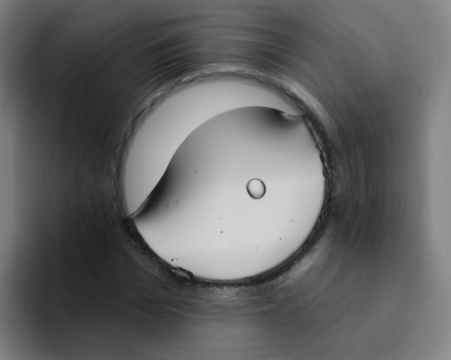 X0000094230969200711161906