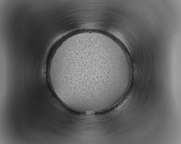 X0000094230971200711161906