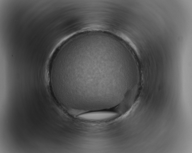 X0000094230973200711161906