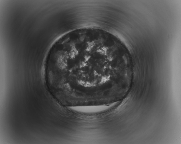 X0000094230975200711161906