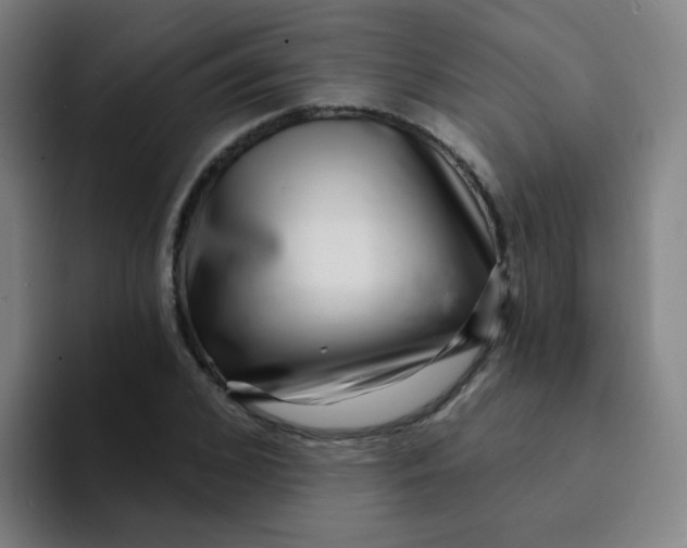 X0000094230976200711161906