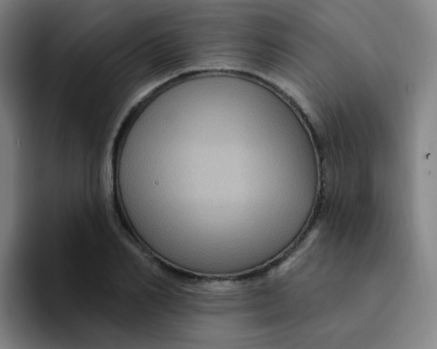 X0000094230982200711161906