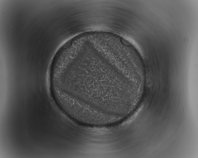 X0000094230983200711161906