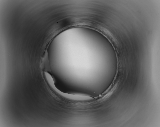 X0000094230985200711161906