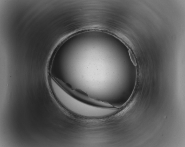 X0000094230989200711161906