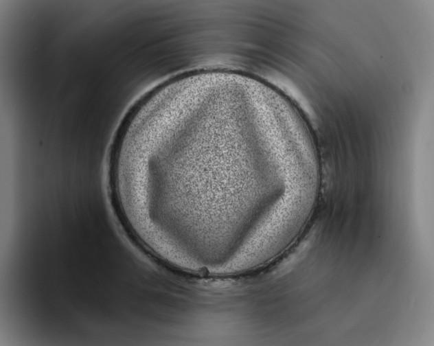 X0000094230991200711161906