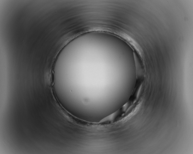 X0000094230993200711161906