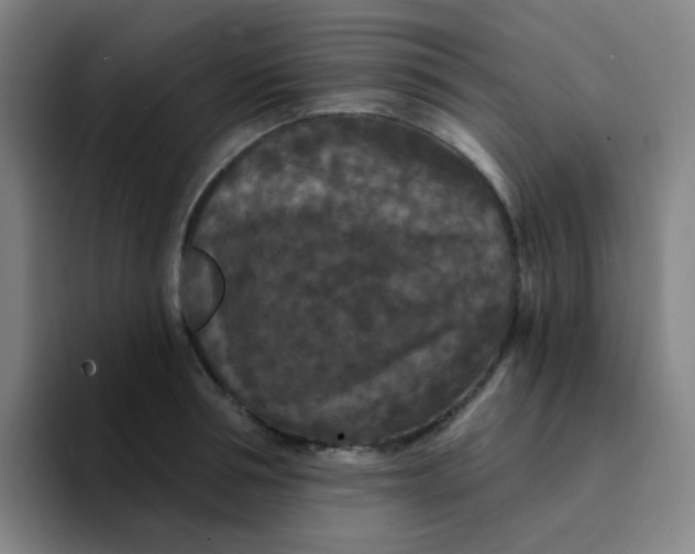 X0000094230994200711161906