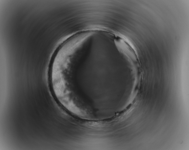 X0000094230995200711161906