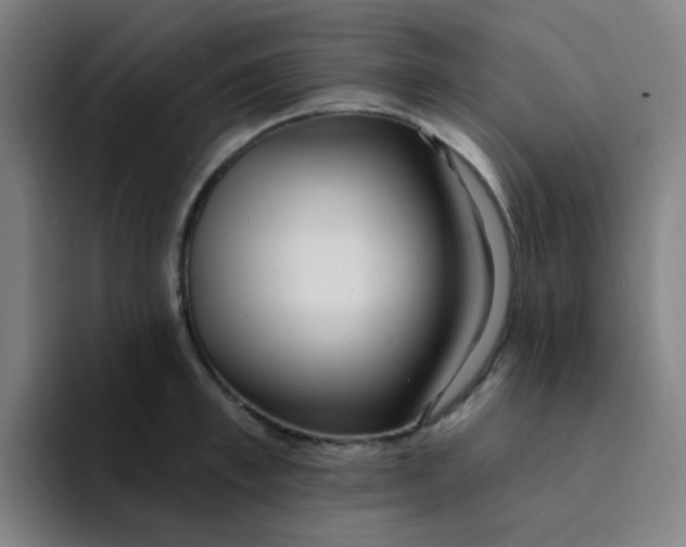 X0000094230997200711161905