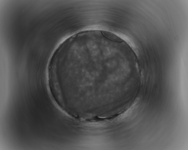 X0000094230998200711161905