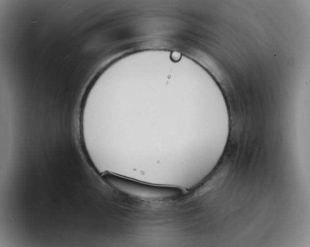 X0000094231000200711161905