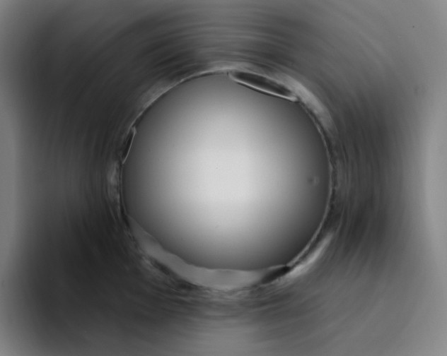 X0000094231001200711161905