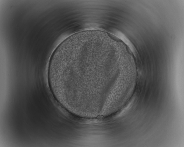 X0000094231002200711161905