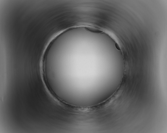 X0000094231003200711161905