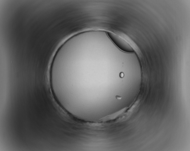 X0000094231004200711161905