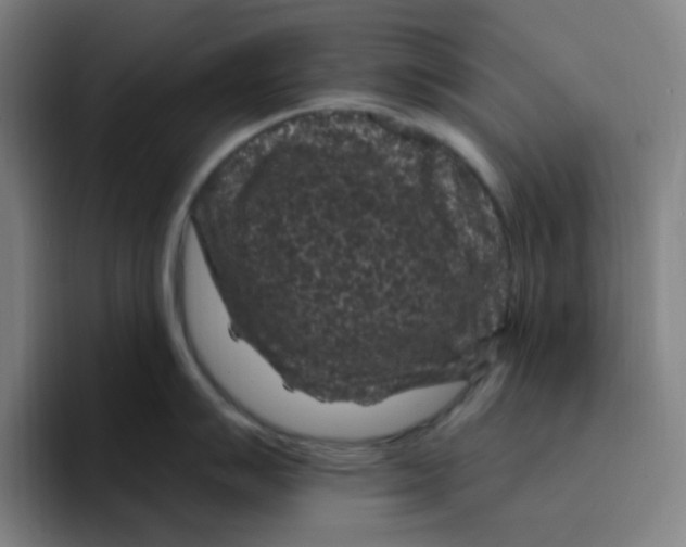 X0000094231007200711161905