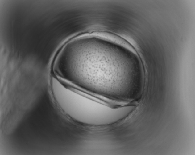 X0000094231008200711161905