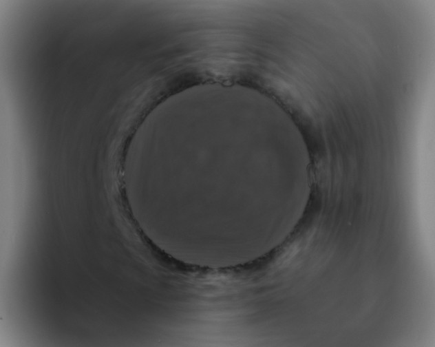 X0000094231009200711161905