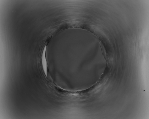 X0000094231010200711161905