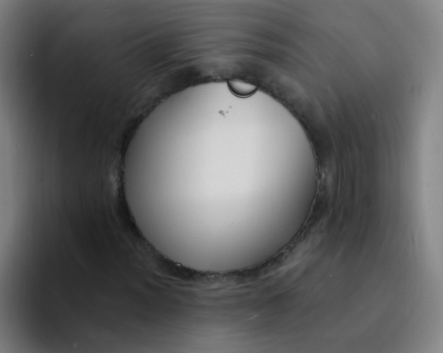 X0000094231012200711161905