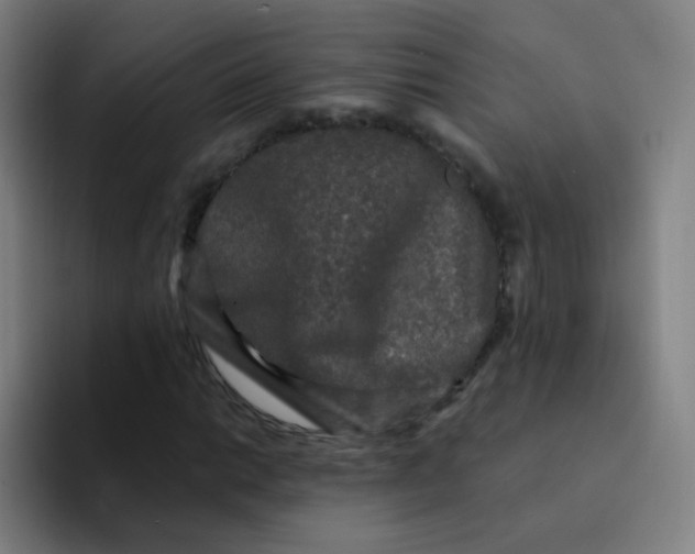 X0000094231014200711161905